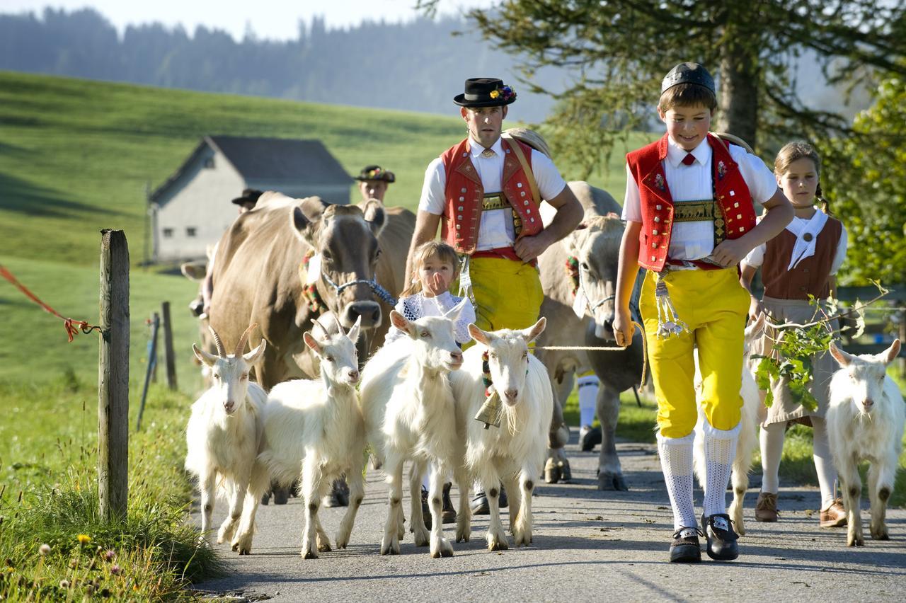 Hotel Landhaus Saentis Herisau Dış mekan fotoğraf